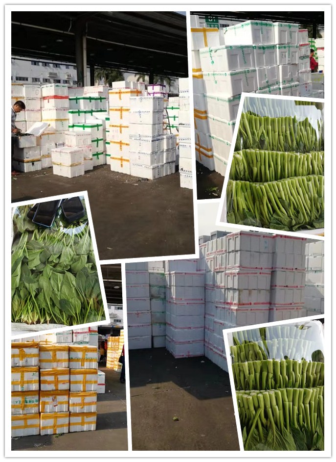 德赢·(VWIN)官方网站-AC米兰官方合作同伴