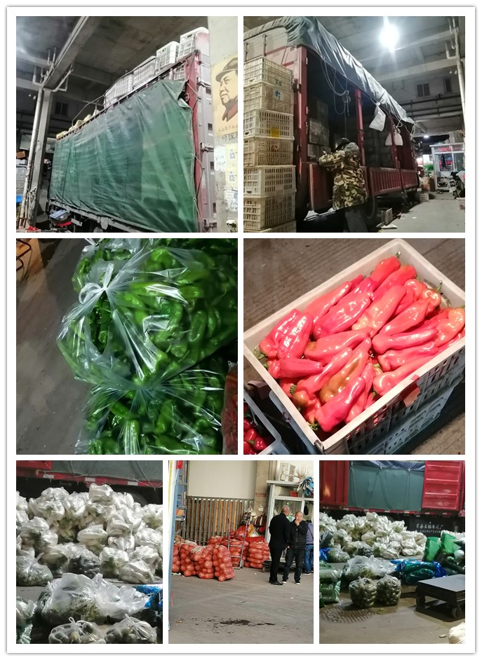 德赢·(VWIN)官方网站-AC米兰官方合作同伴