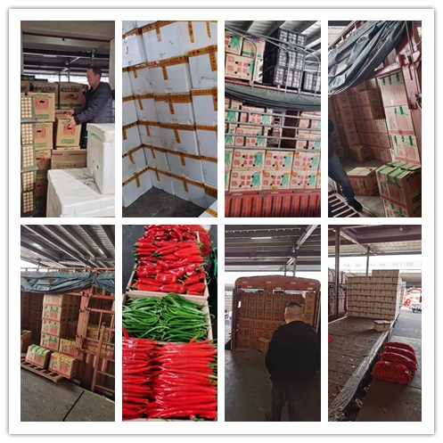 德赢·(VWIN)官方网站-AC米兰官方合作同伴