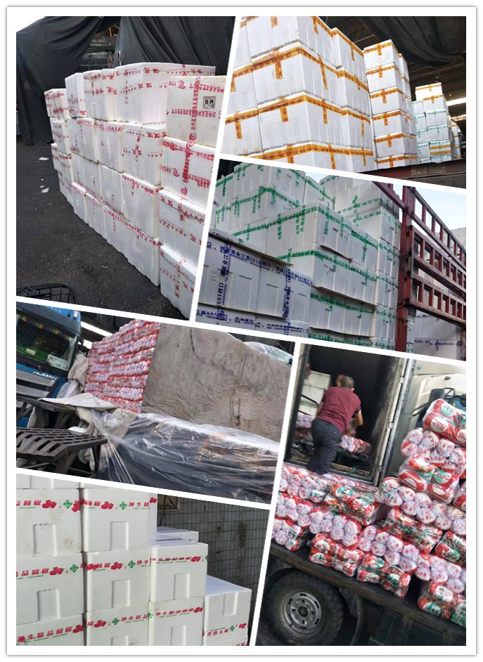 德赢·(VWIN)官方网站-AC米兰官方合作同伴