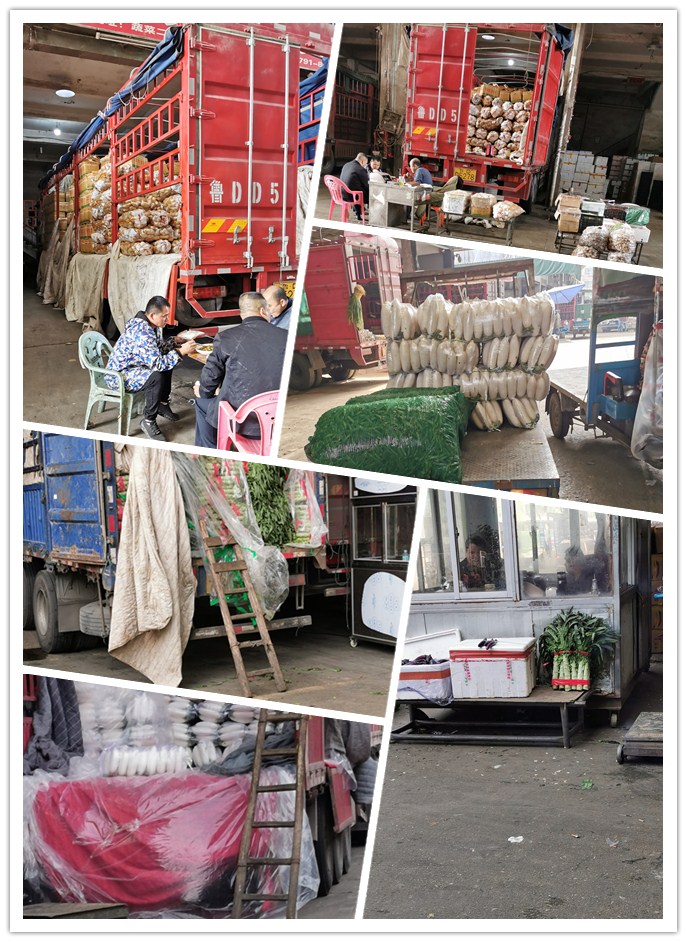 德赢·(VWIN)官方网站-AC米兰官方合作同伴