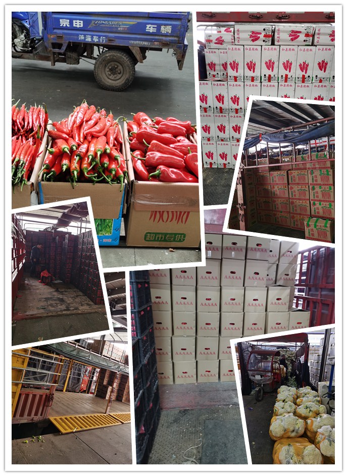 德赢·(VWIN)官方网站-AC米兰官方合作同伴