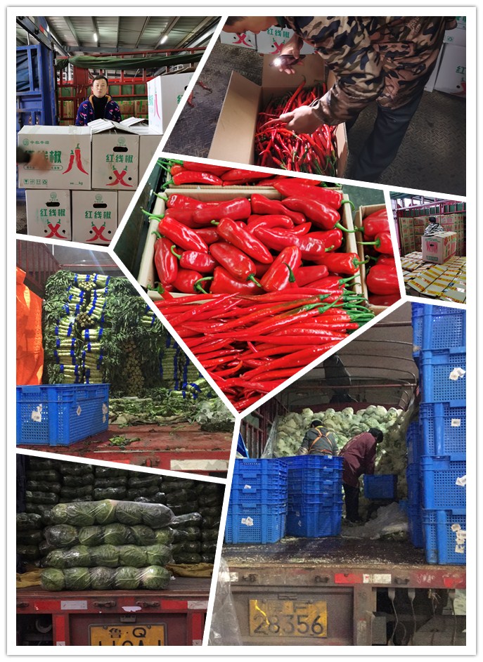 德赢·(VWIN)官方网站-AC米兰官方合作同伴