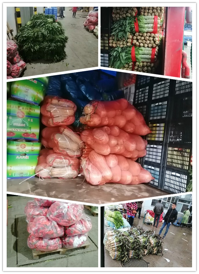 德赢·(VWIN)官方网站-AC米兰官方合作同伴