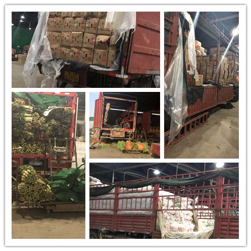 德赢·(VWIN)官方网站-AC米兰官方合作同伴