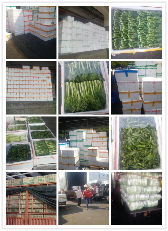 德赢·(VWIN)官方网站-AC米兰官方合作同伴