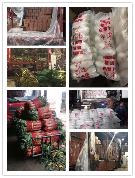 德赢·(VWIN)官方网站-AC米兰官方合作同伴