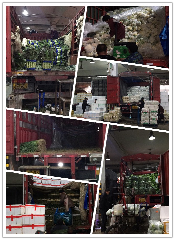 德赢·(VWIN)官方网站-AC米兰官方合作同伴