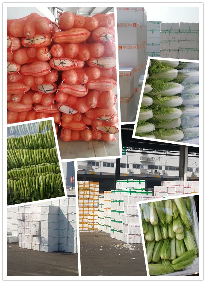 德赢·(VWIN)官方网站-AC米兰官方合作同伴