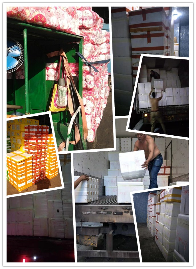 德赢·(VWIN)官方网站-AC米兰官方合作同伴