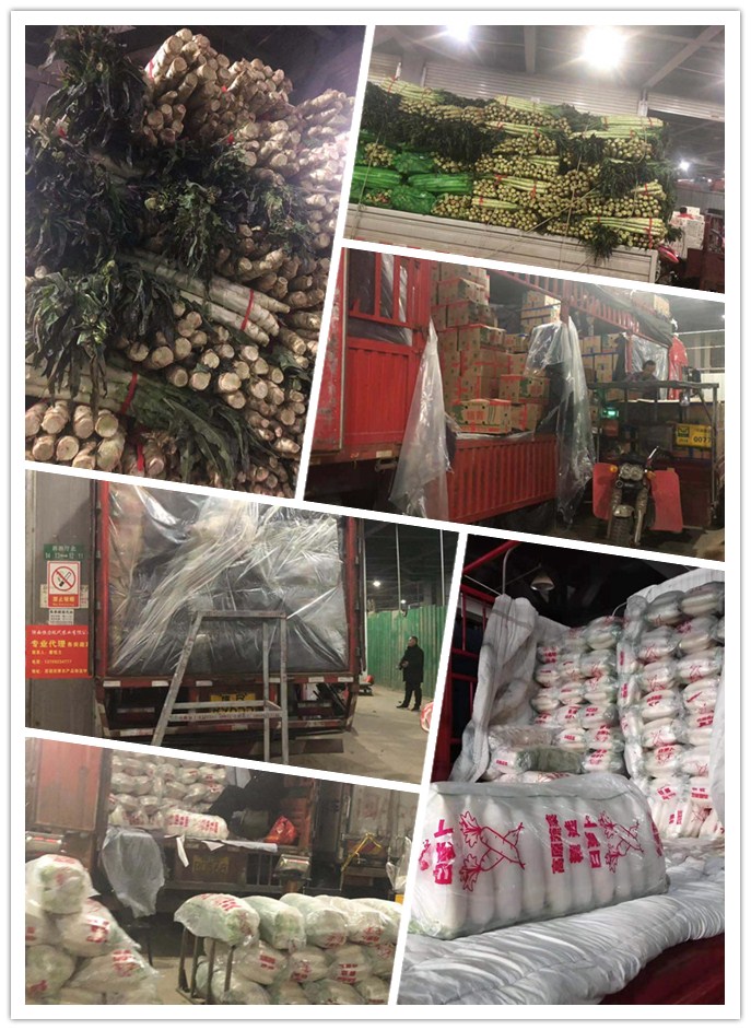 德赢·(VWIN)官方网站-AC米兰官方合作同伴