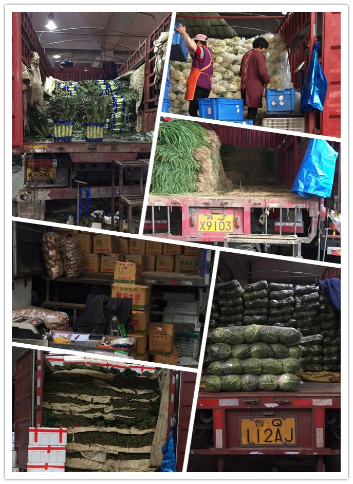 德赢·(VWIN)官方网站-AC米兰官方合作同伴