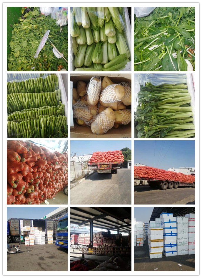 德赢·(VWIN)官方网站-AC米兰官方合作同伴