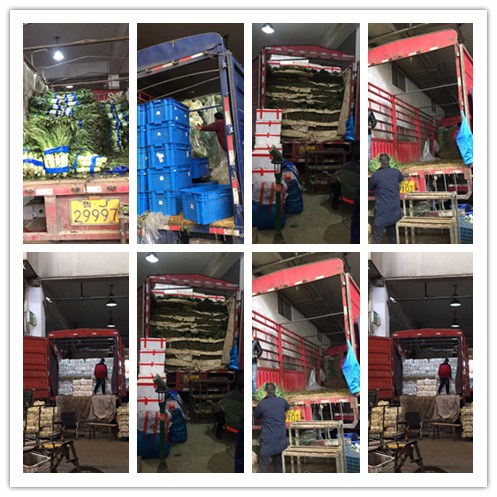 德赢·(VWIN)官方网站-AC米兰官方合作同伴