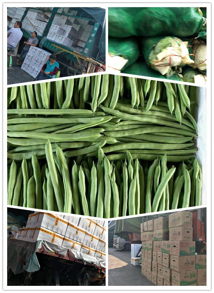 德赢·(VWIN)官方网站-AC米兰官方合作同伴