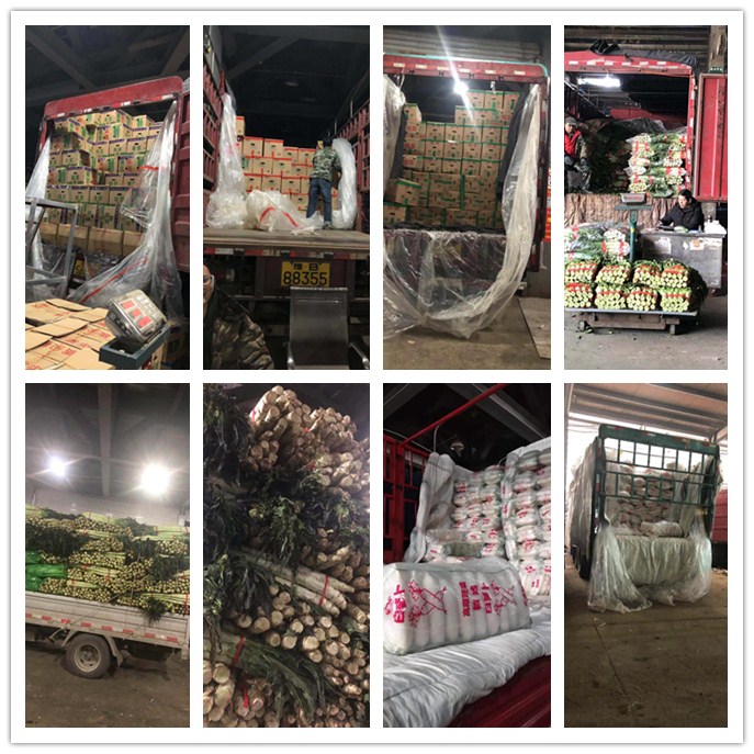 德赢·(VWIN)官方网站-AC米兰官方合作同伴