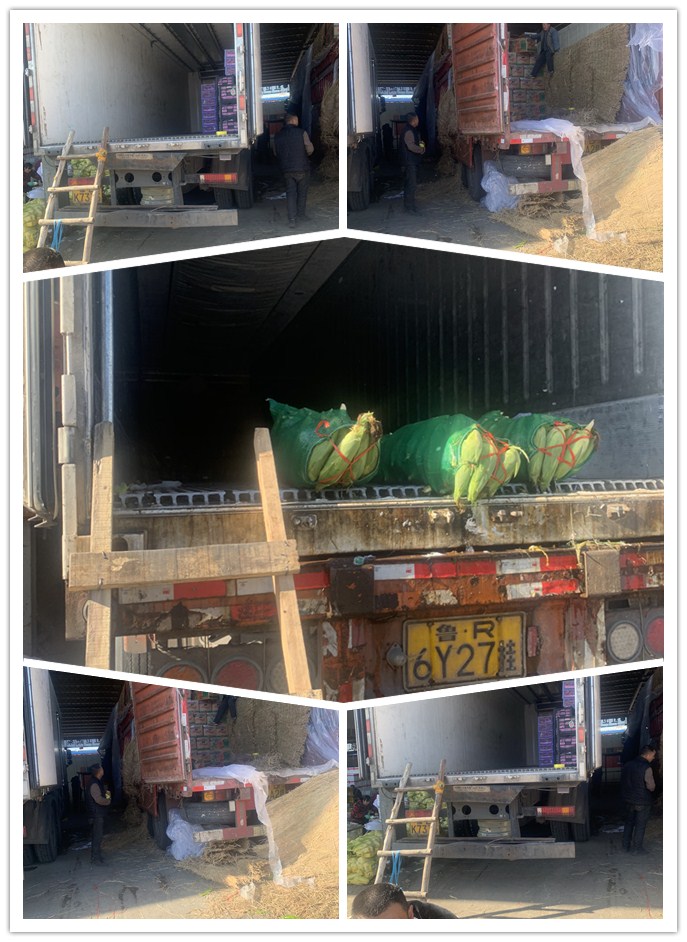 德赢·(VWIN)官方网站-AC米兰官方合作同伴