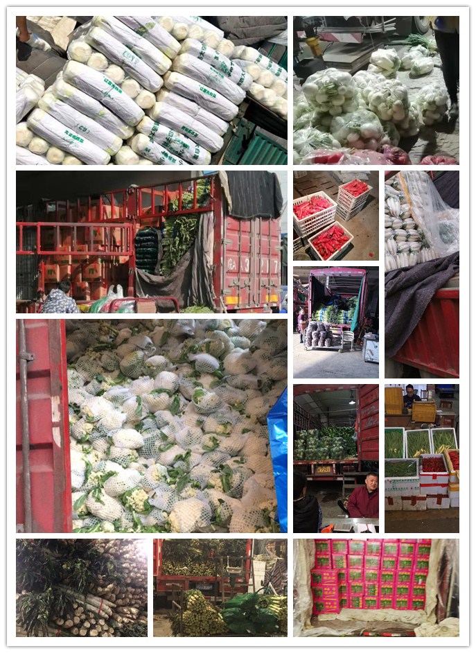 德赢·(VWIN)官方网站-AC米兰官方合作同伴