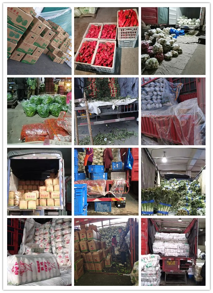 德赢·(VWIN)官方网站-AC米兰官方合作同伴