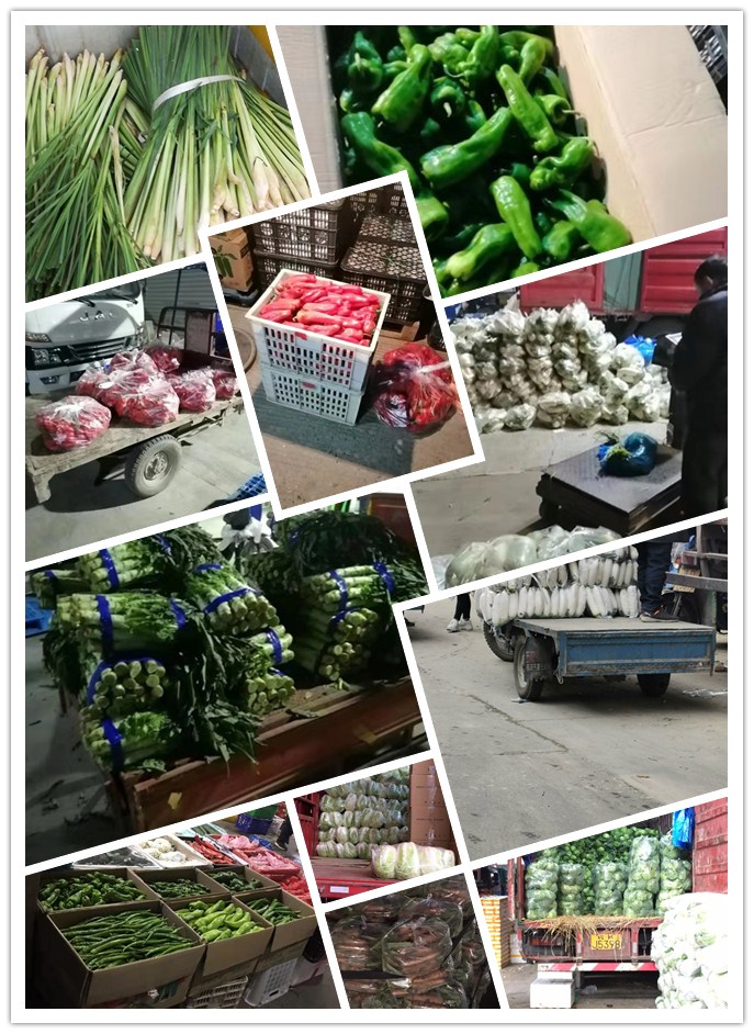 德赢·(VWIN)官方网站-AC米兰官方合作同伴