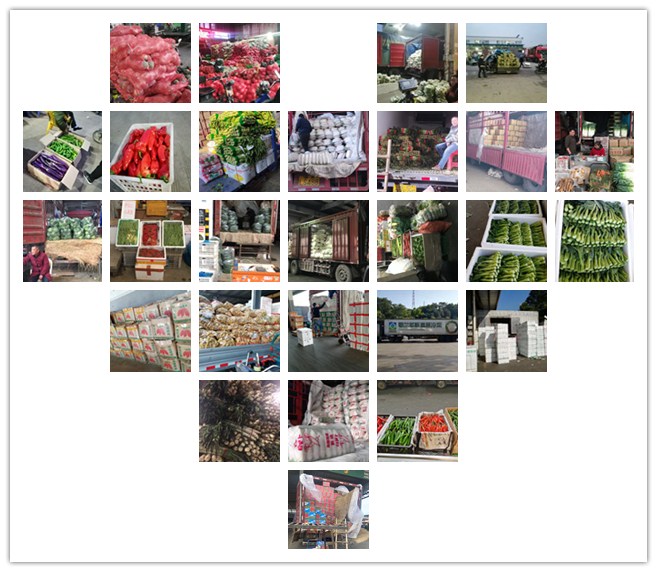 德赢·(VWIN)官方网站-AC米兰官方合作同伴