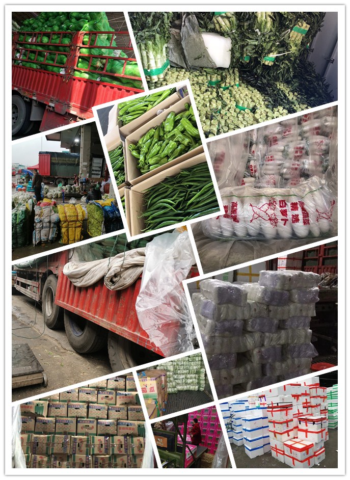 德赢·(VWIN)官方网站-AC米兰官方合作同伴