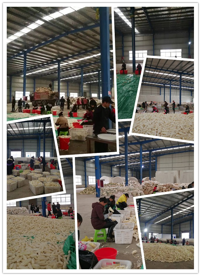 德赢·(VWIN)官方网站-AC米兰官方合作同伴