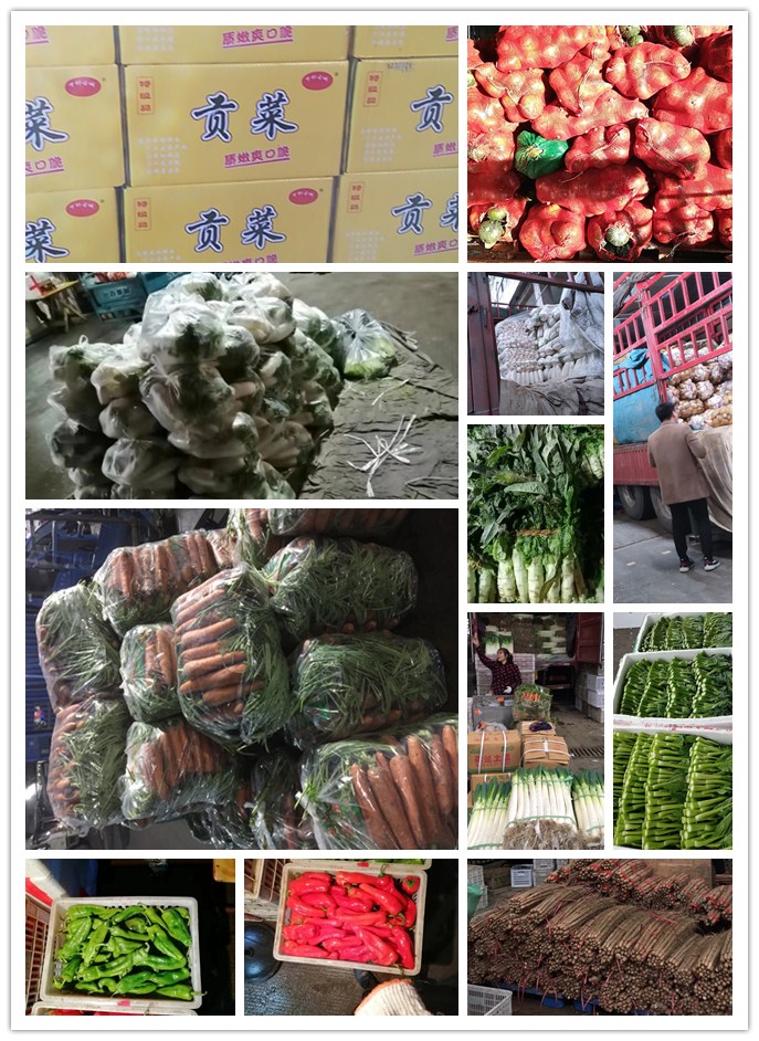 德赢·(VWIN)官方网站-AC米兰官方合作同伴