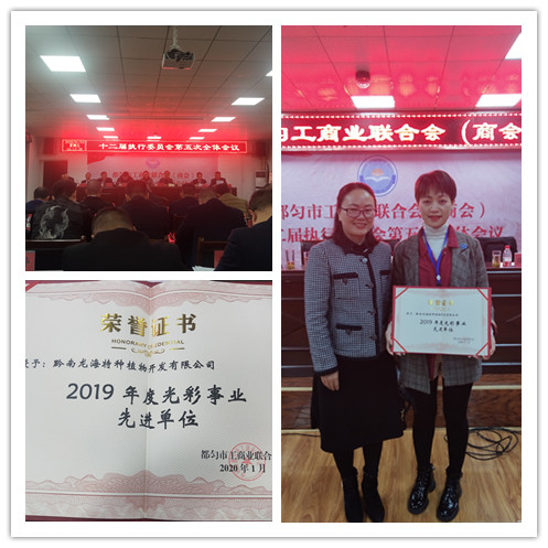 德赢·(VWIN)官方网站-AC米兰官方合作同伴