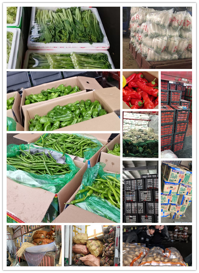 德赢·(VWIN)官方网站-AC米兰官方合作同伴