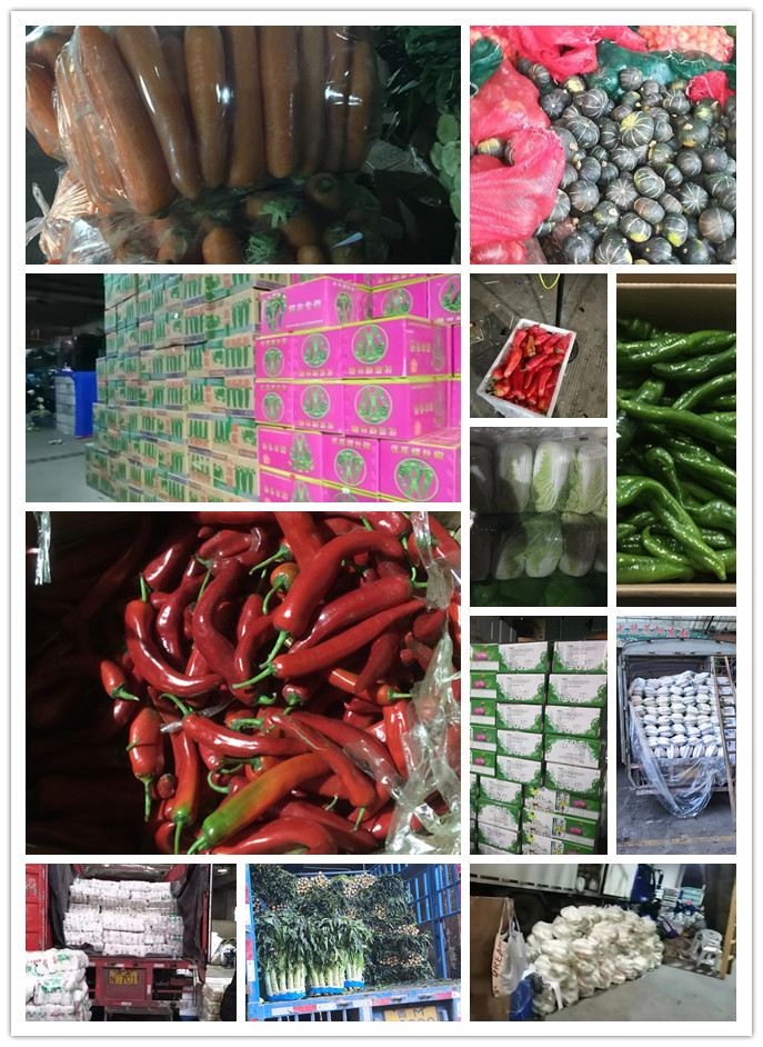 德赢·(VWIN)官方网站-AC米兰官方合作同伴