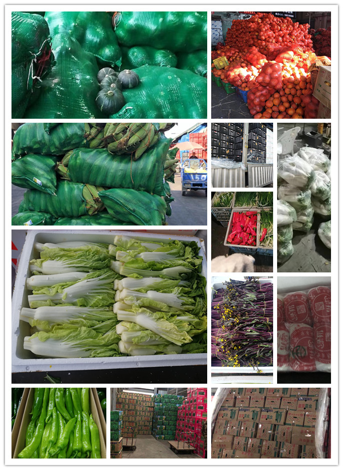 德赢·(VWIN)官方网站-AC米兰官方合作同伴