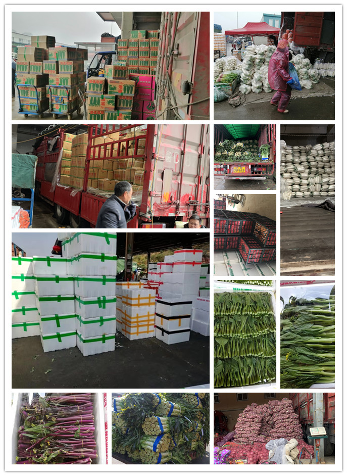 德赢·(VWIN)官方网站-AC米兰官方合作同伴