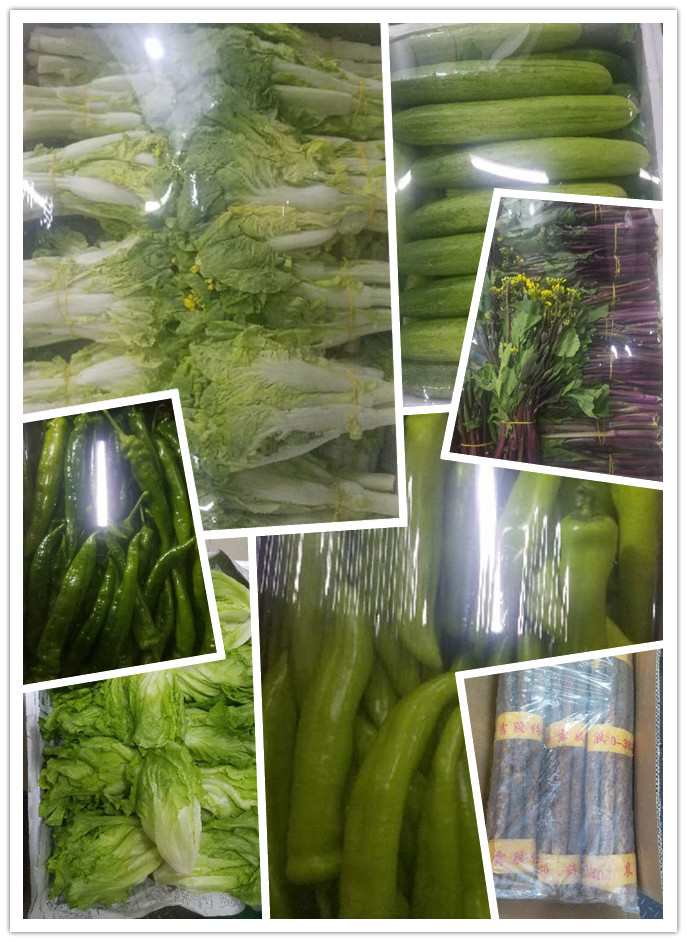 德赢·(VWIN)官方网站-AC米兰官方合作同伴