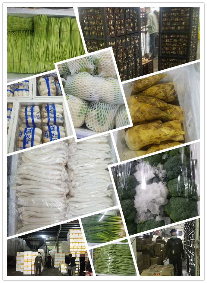 德赢·(VWIN)官方网站-AC米兰官方合作同伴