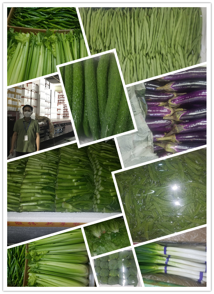 德赢·(VWIN)官方网站-AC米兰官方合作同伴