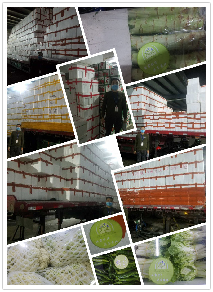 德赢·(VWIN)官方网站-AC米兰官方合作同伴