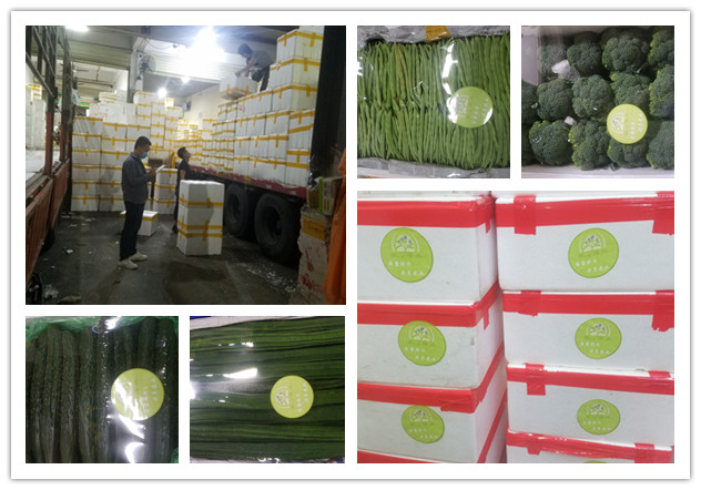 德赢·(VWIN)官方网站-AC米兰官方合作同伴