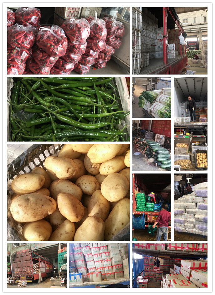 德赢·(VWIN)官方网站-AC米兰官方合作同伴