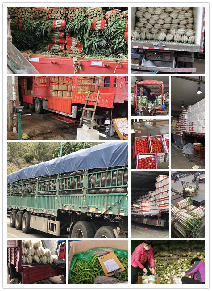 德赢·(VWIN)官方网站-AC米兰官方合作同伴