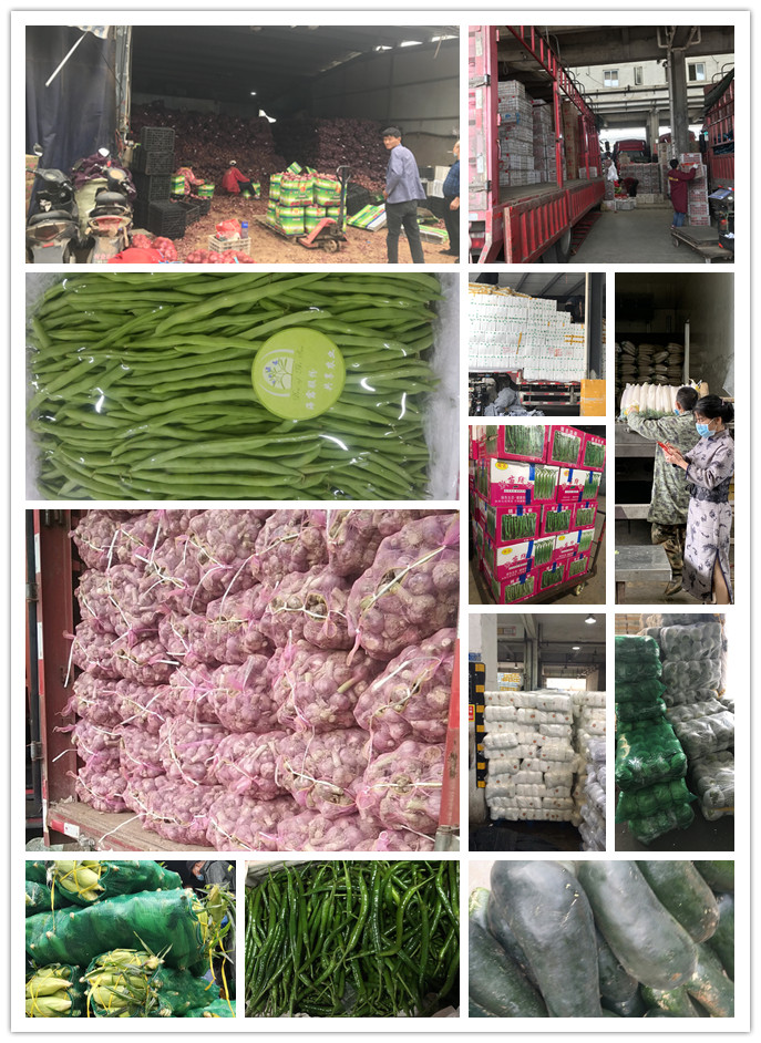 德赢·(VWIN)官方网站-AC米兰官方合作同伴