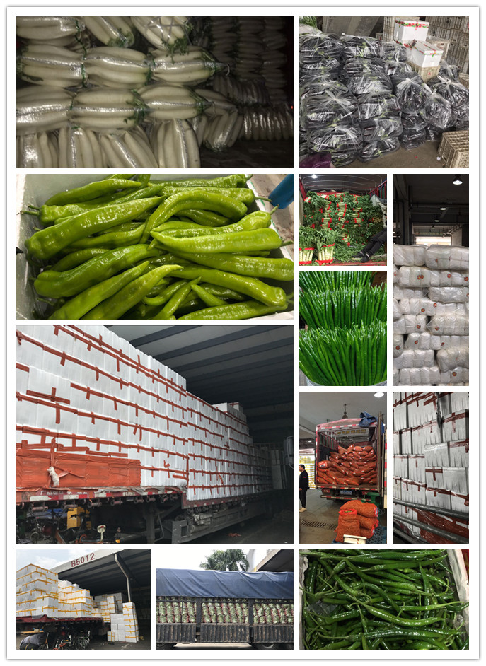 德赢·(VWIN)官方网站-AC米兰官方合作同伴