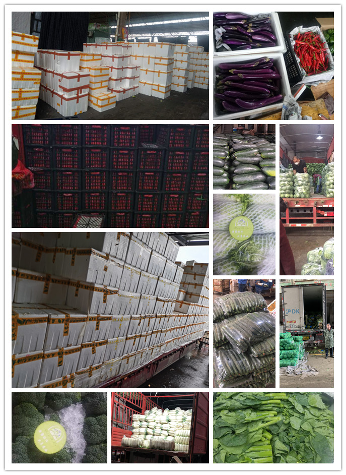 德赢·(VWIN)官方网站-AC米兰官方合作同伴