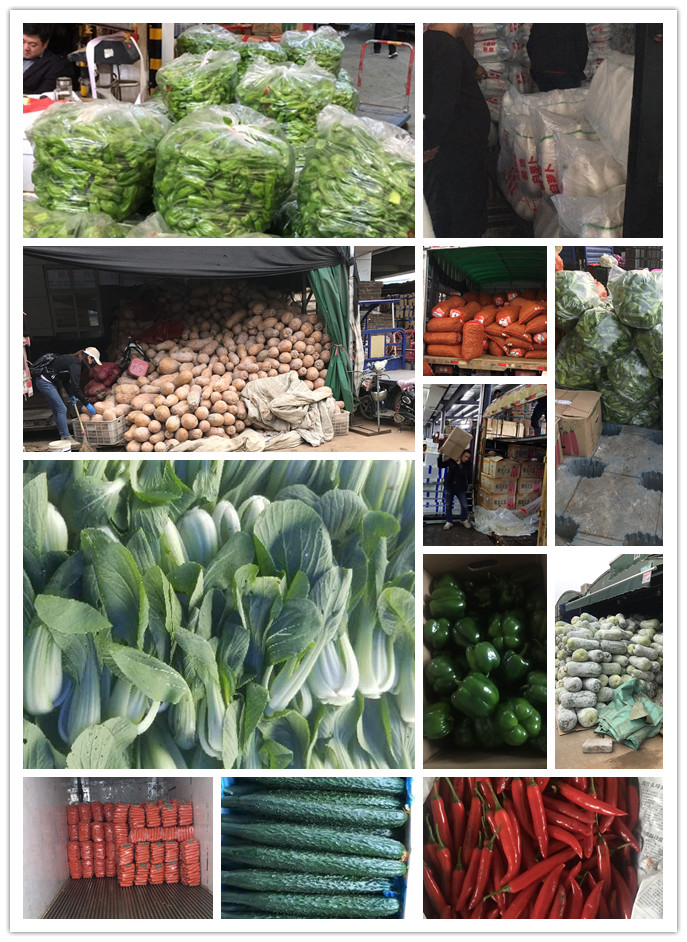 德赢·(VWIN)官方网站-AC米兰官方合作同伴