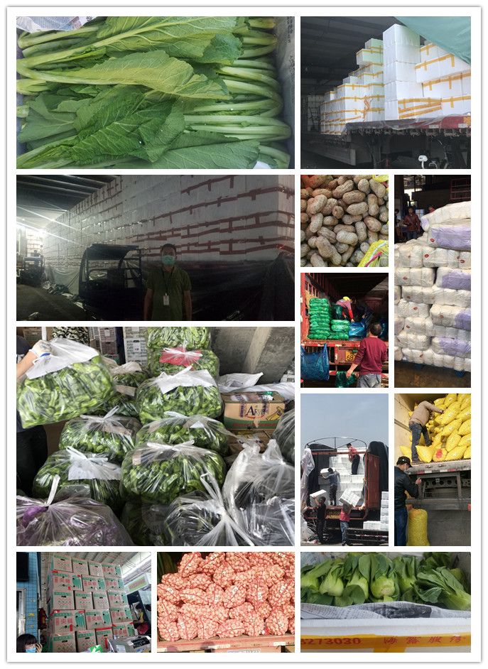 德赢·(VWIN)官方网站-AC米兰官方合作同伴