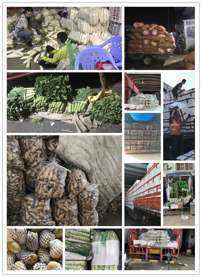 德赢·(VWIN)官方网站-AC米兰官方合作同伴