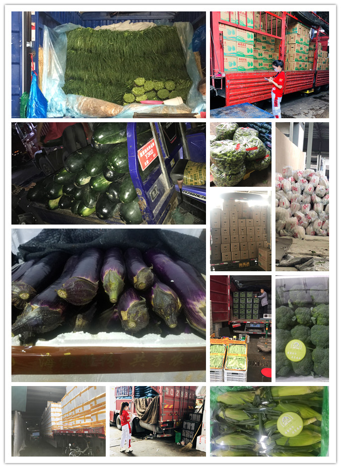 德赢·(VWIN)官方网站-AC米兰官方合作同伴