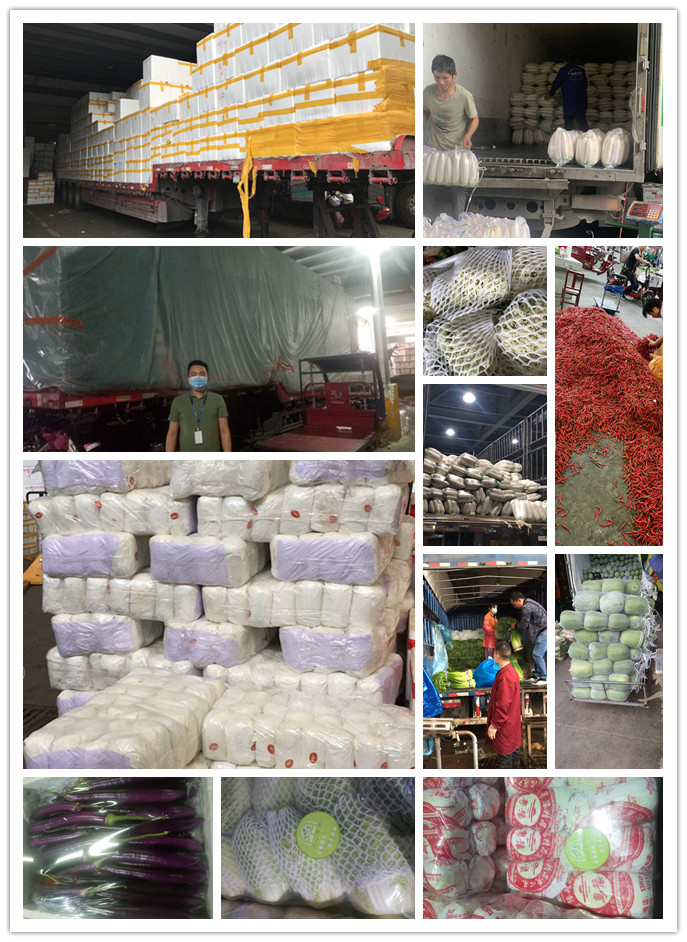 德赢·(VWIN)官方网站-AC米兰官方合作同伴