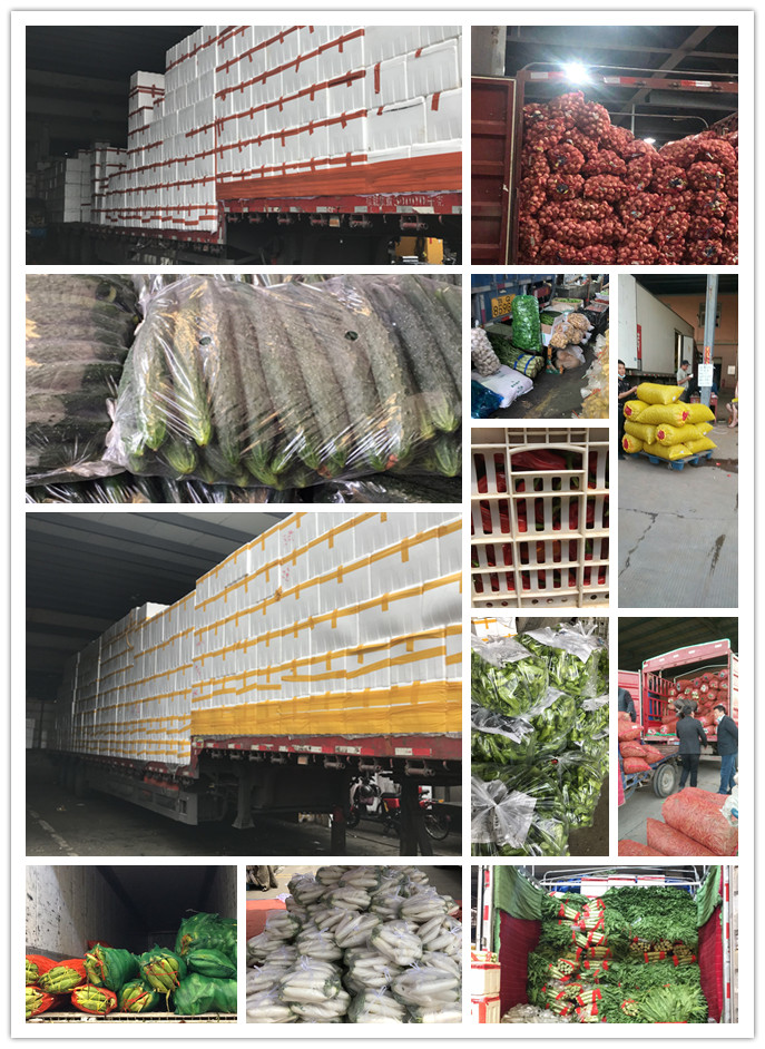 德赢·(VWIN)官方网站-AC米兰官方合作同伴