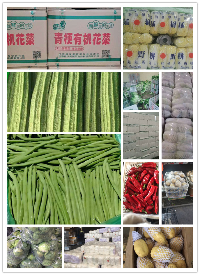 德赢·(VWIN)官方网站-AC米兰官方合作同伴